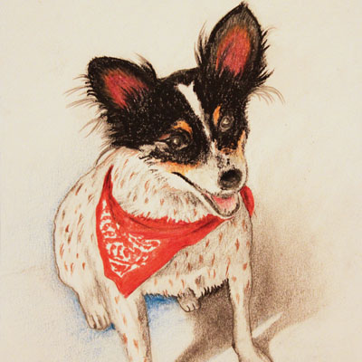 portfolio-13-400x400